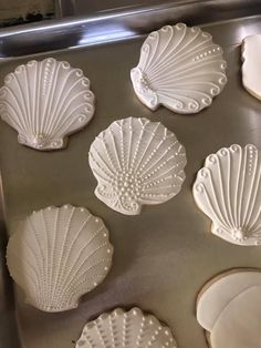 seashell cookies on a baking sheet ready to be baked