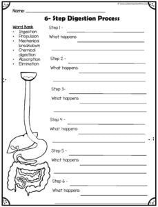 worksheet for the g - step digest process