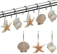 six seashells hang from a metal bar