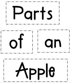 an apple worksheet with the words parts of an apple in black and white