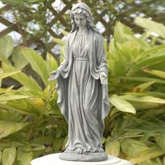 a statue of the virgin mary is shown in front of some plants