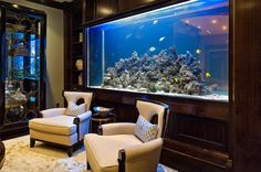 a living room with two chairs and a fish tank in the wall next to it