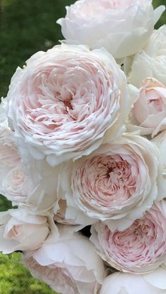 a bouquet of white and pink flowers in the grass