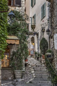 an alleyway with stone steps and plants growing on it