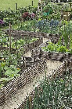 a garden filled with lots of different types of flowers and plants in wooden boxes next to each other