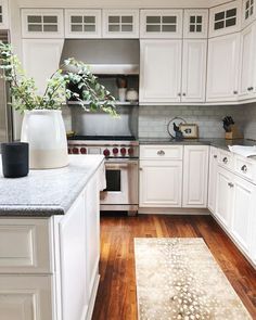 a kitchen with white cabinets and wood flooring is pictured in this image, there are plants on the counter