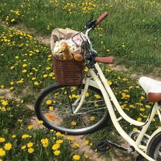 a bicycle parked on the side of a road next to a field full of yellow flowers