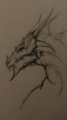 a drawing of a dragon on a sheet of paper