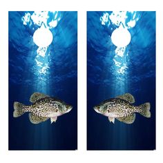 two pictures of fish swimming in the ocean with light shining on them's sides