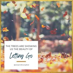 the trees are showing us the beauty of letting go with an image of falling leaves