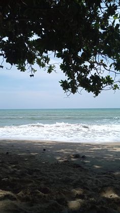 the view from under a tree looking out at the ocean and beach with waves coming in