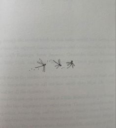 two black and white drawings of dragonflies flying in opposite directions on a sheet of paper