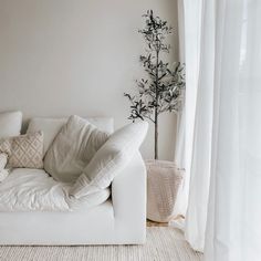 a white couch sitting in front of a window next to a potted plant on top of a rug