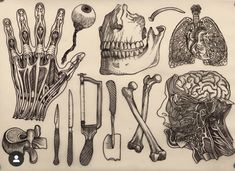 a drawing of different types of medical instruments and their functions in the human body as well as an image of a skeleton's head