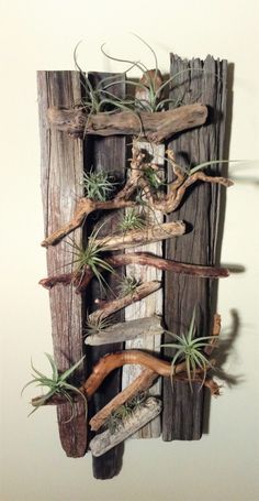 an air plant is growing out of a wooden wall hanging on the side of a fence