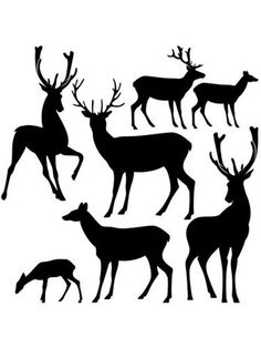 silhouettes of deer and antlers on a white background