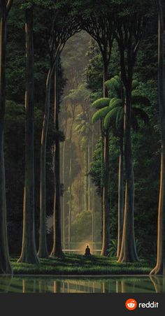 a painting of trees and water in the middle of a forest with a person sitting on it