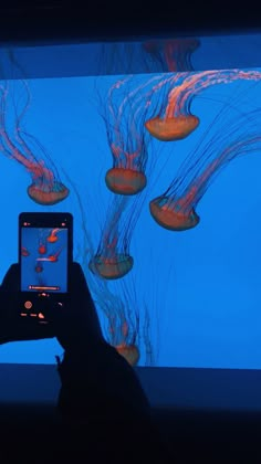 a person is taking a photo of jellyfish in the water with their cell phone