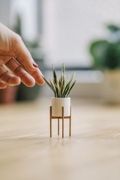 a hand is reaching for a small plant in a white pot on a wooden table