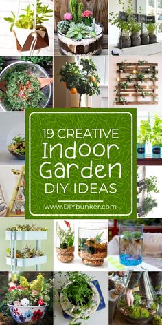 the top ten creative indoor garden diy ideas