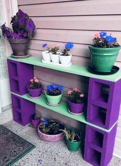 purple and green shelf with potted plants on top