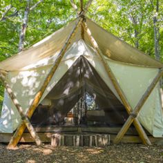 a tent in the woods with trees surrounding it