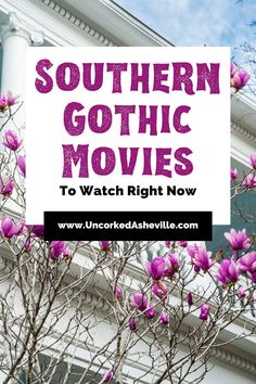 Southern Gothic Films to watch right now Pinterest pin with white Antebellum house with pink flowers Southern Gothic Movies, Southern Gothic Halloween, Southern Movies, Classic Movies To Watch List, Goth Halloween Aesthetic, Goth Movies, Southern Gothic Fashion, Southern Gothic Literature, Best Fall Movies