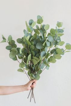 a person holding a bunch of green leaves