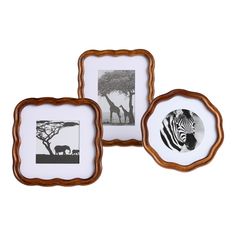 three framed pictures with zebras and giraffes in them on a white background