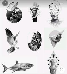 black and white drawings of different types of animals, birds, and people with faces