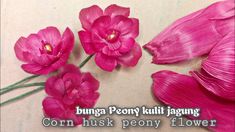 three pink flowers with the words corn husk peony flower