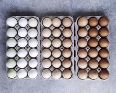 three trays filled with eggs sitting on top of a gray floor next to each other