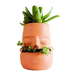 a planter with a face made out of clay and succulents in it