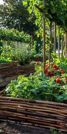 Master Bedrooms Decor Elegant, Elegant Balcony, Gardens Photography, Raised Garden Bed Ideas, Garden Bed Ideas, Building A Raised Garden, Plants Nature