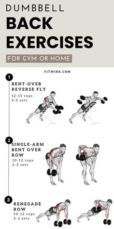 the dumbbell back exercises for gym or home info sheet with instructions on how to do them