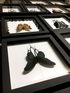 several framed pictures with different types of butterflies on them, all in black and white