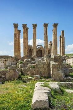 the ruins of an ancient city with columns and flowers growing on the ground in front of them