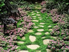 a stone path in the middle of a garden filled with purple flowers and green grass