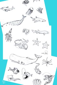 an image of sea animals in the ocean with blue background and white paper on it