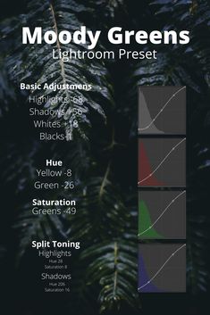 the poster for moody greens lightroom preset, which includes four different colors