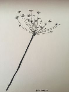 a drawing of a dandelion on a sheet of paper