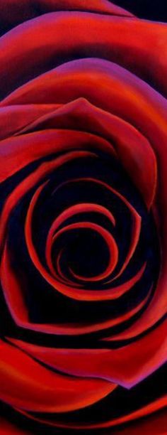 a red rose that is very close to the camera