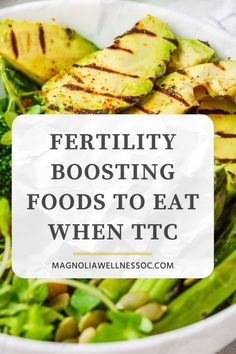 Want to get pregnant quick? Add these fertility super foods to your diet to improve your fertility health. Eating foods that promote fertility when you are trying to conceive can increase egg quality, improve sperm count, balance hormones and boost your chances of IVF success. Magnolia Wellness OC | Natural Fertility, Holistic Health & TCM Fertility Superfoods, Ttc Diet, Foods To Get Pregnant, Ivf Diet, 1200 Calorie Diet Meal Plans, Fertility Smoothie, Chances Of Pregnancy, Egg Quality, Fertility Foods