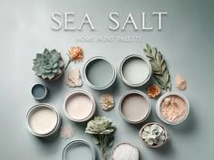 Sea Salt Palette, Sherwin Williams Sea Salt Palette, Color Palette Whole House, Sherwin Williams Sea Salt, Coastal Palette, Sea Salt Sherwin Williams, Stairs Decor, Paint Palettes, House Color Palettes