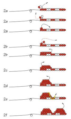 the diagram shows how many different types of knitting are used to make hats and scarves