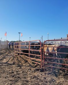 List Of Aesthetics, Cowboy Vibes, Cowboy Photography, Chestnut Springs, Cowboy Life, Cowboy Aesthetic, Country Summer, Dream Life House, Rodeo Life