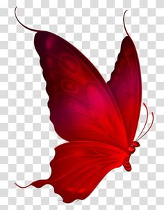 a red butterfly flying in the air with its wings spread out, transparent background png clip