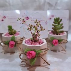 four small pots with plants in them on a table