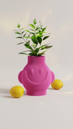 a pink vase sitting next to two lemons on a white surface with a green plant in it