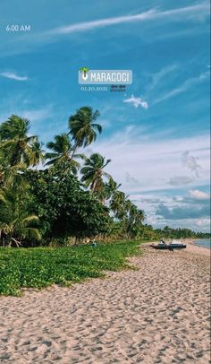 a beach with palm trees and boats on the water's edge, under a blue sky